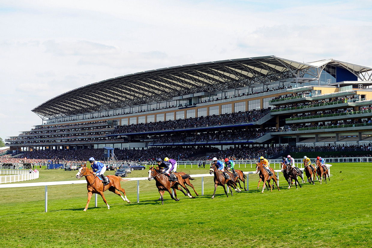 Ascot Authority Suite